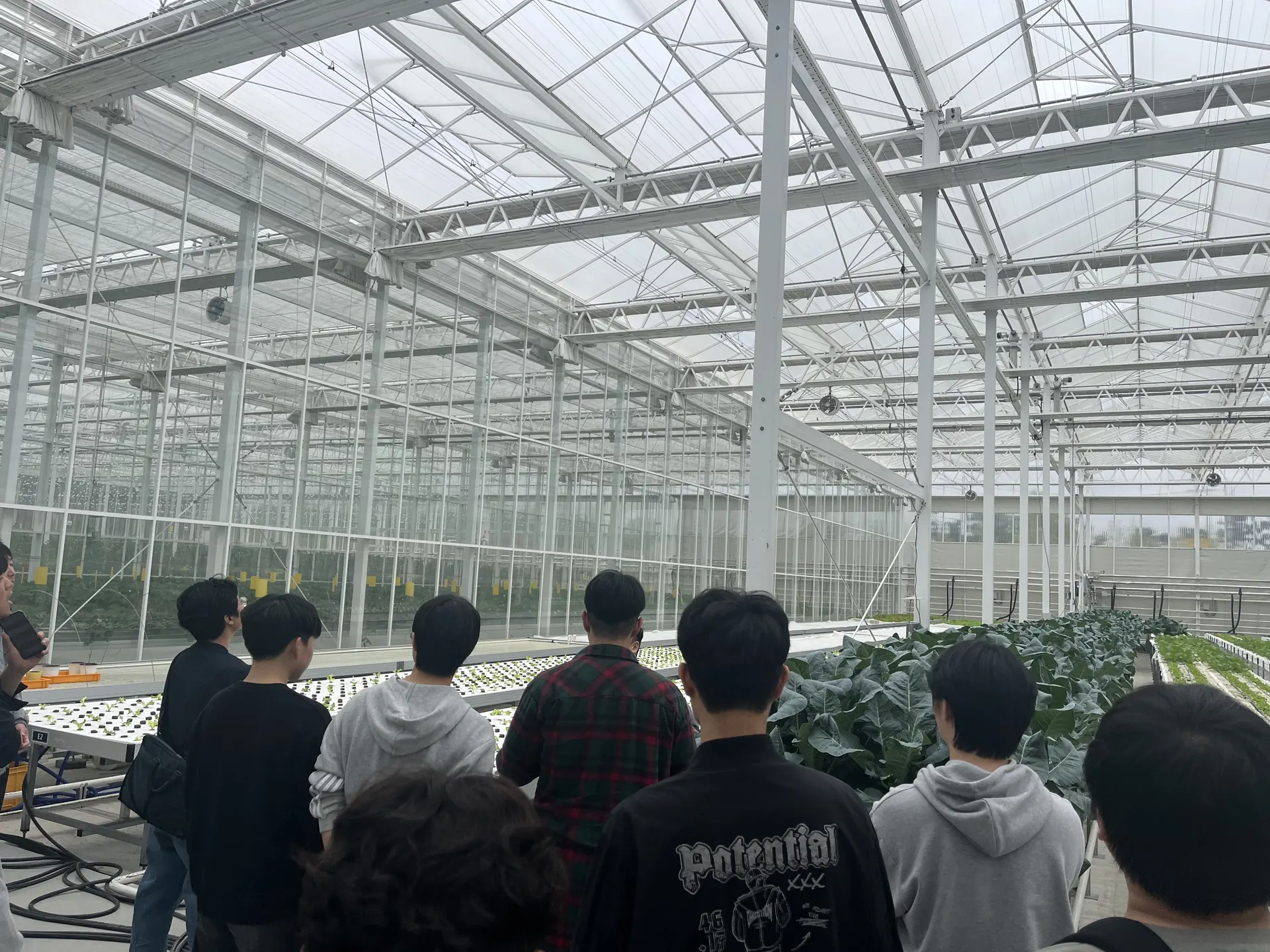 맞춤형 프로그램 이미지